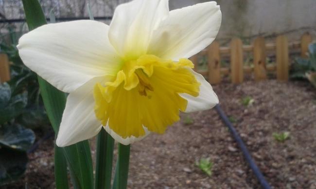 Name:  20160304_153156.jpg
Views: 996
Size:  27.6 KB
