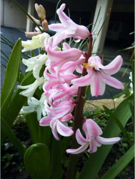 Name:  su3.JPG
Views: 288
Size:  54.1 KB