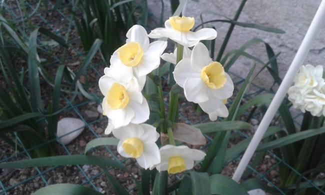 Name:  20160311_175105.jpg
Views: 737
Size:  36.5 KB