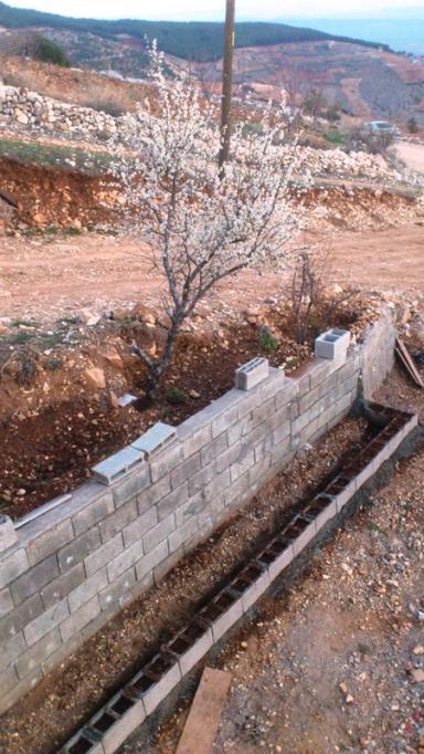 Name:  141.jpg
Views: 558
Size:  63.2 KB