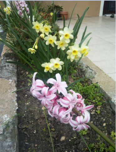 Name:  la2.JPG
Views: 754
Size:  49.1 KB