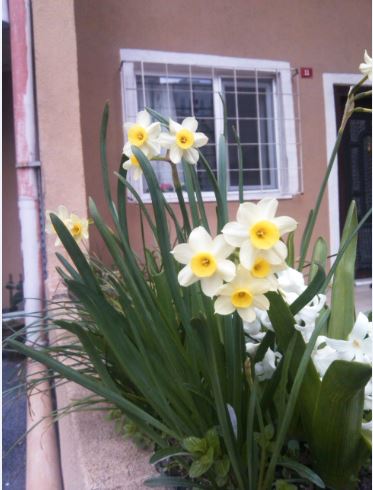Name:  la4.JPG
Views: 471
Size:  40.5 KB