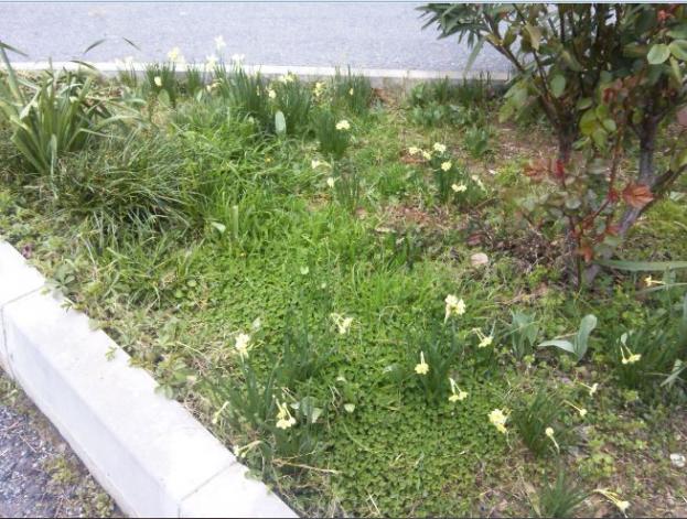 Name:  ner1.jpg
Views: 484
Size:  70.0 KB