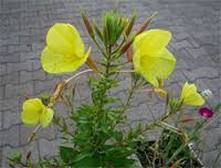 Name:  indir.jpg
Views: 601
Size:  5.7 KB