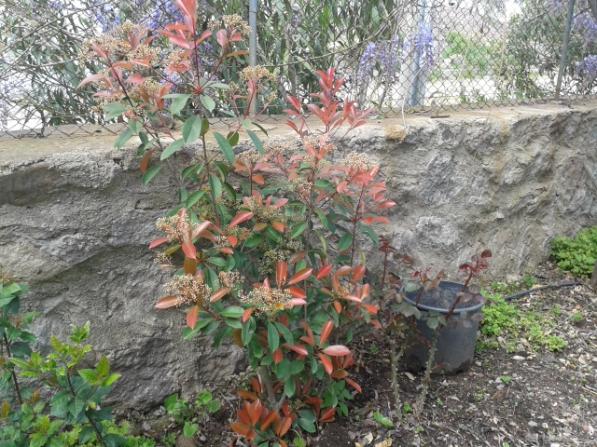 Name:  20160320_132711.jpg
Views: 386
Size:  71.6 KB