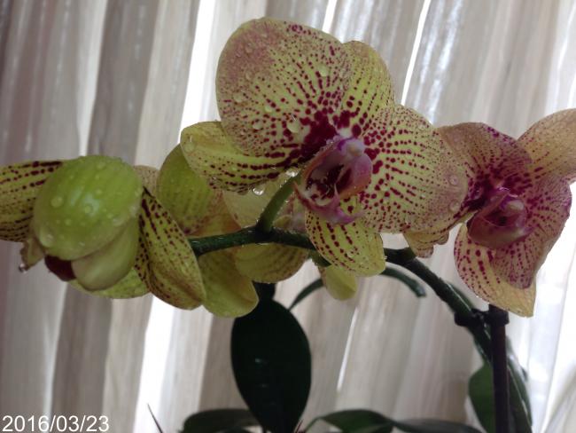 Name:  image.jpg
Views: 792
Size:  42.0 KB