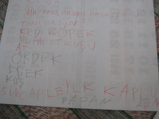 Name:  SEVL2.jpg
Views: 916
Size:  55.9 KB