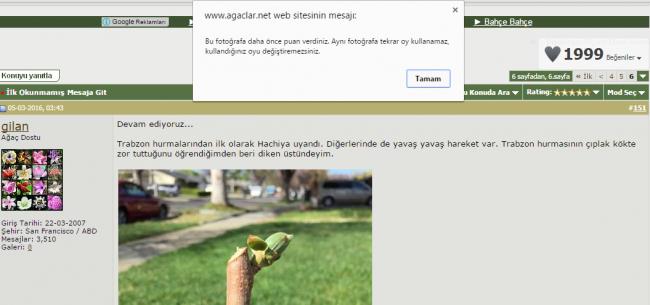 Name:  gilan.jpg
Views: 632
Size:  28.1 KB