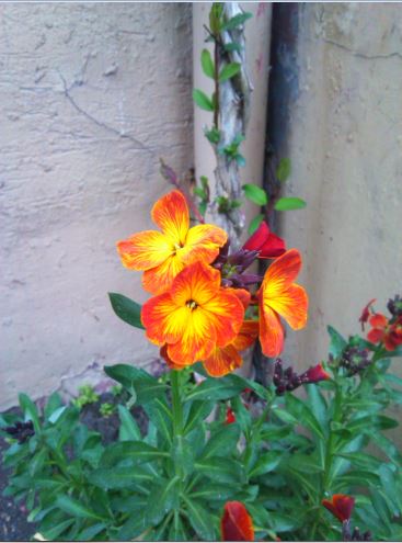 Name:  seb1.JPG
Views: 244
Size:  40.3 KB