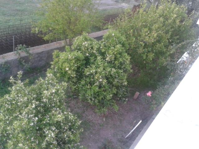 Name:  20160407_065531.jpg
Views: 346
Size:  54.6 KB