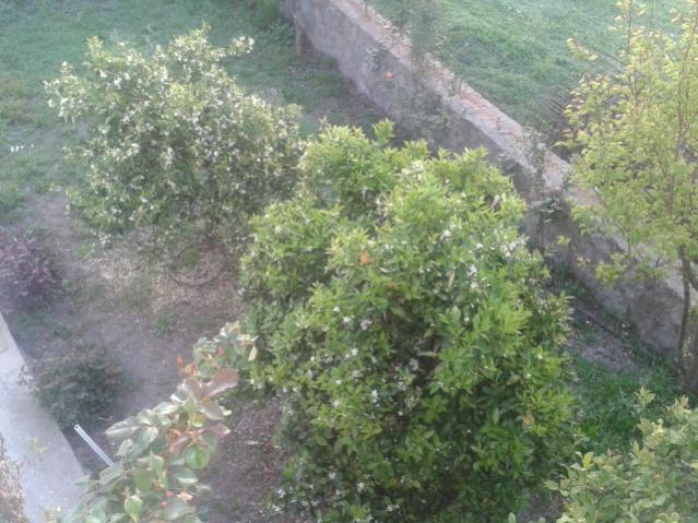 Name:  20160407_070719.jpg
Views: 343
Size:  61.2 KB