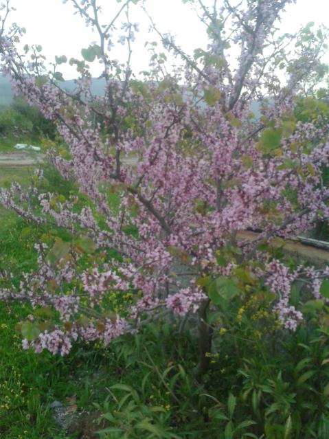 Name:  20160404_193804.jpg
Views: 352
Size:  60.4 KB