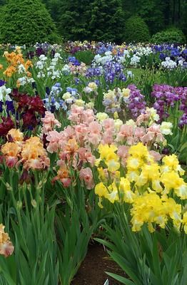 Name:  764d2e2e08506b32eb36800d1fac785a.jpg
Views: 468
Size:  32.4 KB