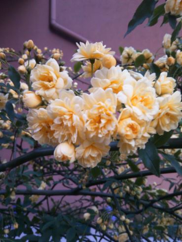 Name:  aa2.JPG
Views: 268
Size:  43.5 KB
