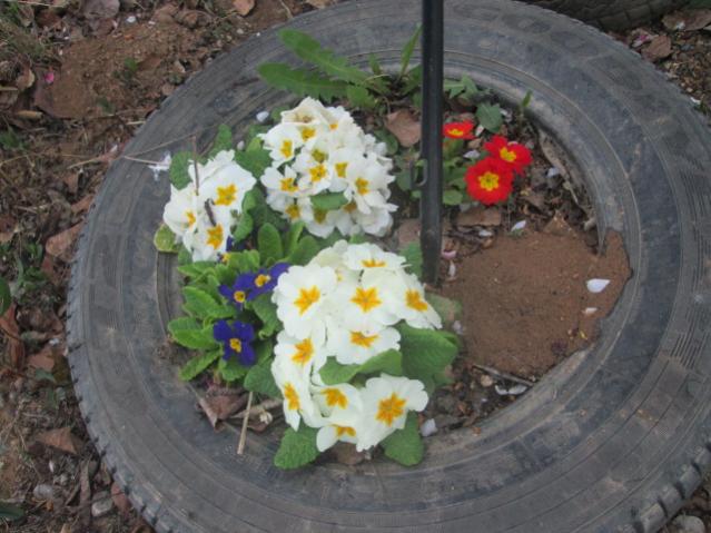 Name:  IMG_5523.jpg
Views: 278
Size:  50.1 KB