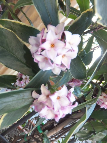 Name:  DSCF5846.jpg
Views: 605
Size:  63.3 KB