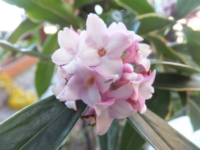 Name:  DSCF5850.jpg
Views: 609
Size:  65.7 KB
