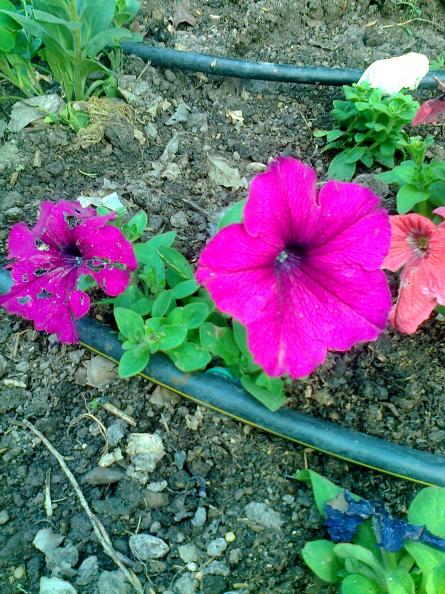 Name:  Fotoraf3595.jpg
Views: 264
Size:  78.5 KB