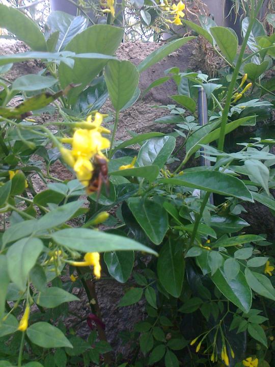 Name:  Fotoraf3602.jpg
Views: 286
Size:  74.9 KB