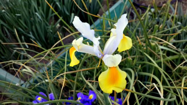 Name:  20160416_191233_Richtone(HDR)-001.jpg
Views: 915
Size:  47.0 KB