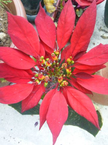 Name:  eb1.JPG
Views: 341
Size:  39.9 KB