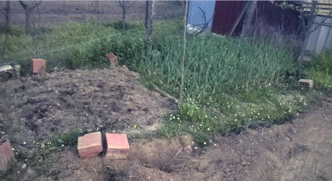 Name:  17.04.2016 - taze soan sarmsak.jpg
Views: 535
Size:  47.1 KB