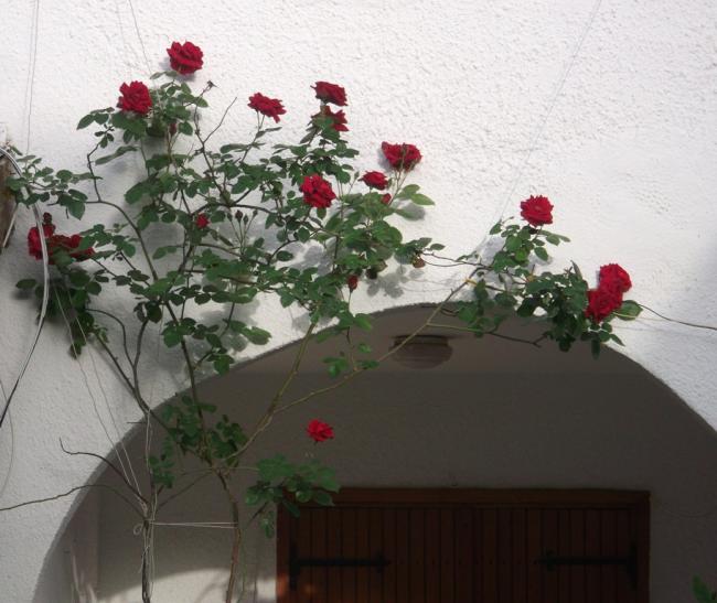 Name:  DSCF9056.jpg
Views: 472
Size:  50.7 KB