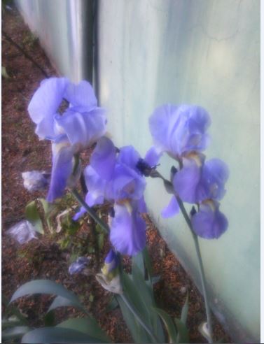 Name:  s.JPG
Views: 284
Size:  32.1 KB