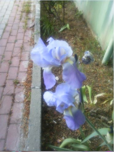 Name:  s1.JPG
Views: 272
Size:  39.0 KB