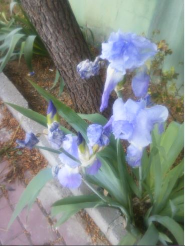 Name:  s2.JPG
Views: 278
Size:  37.4 KB