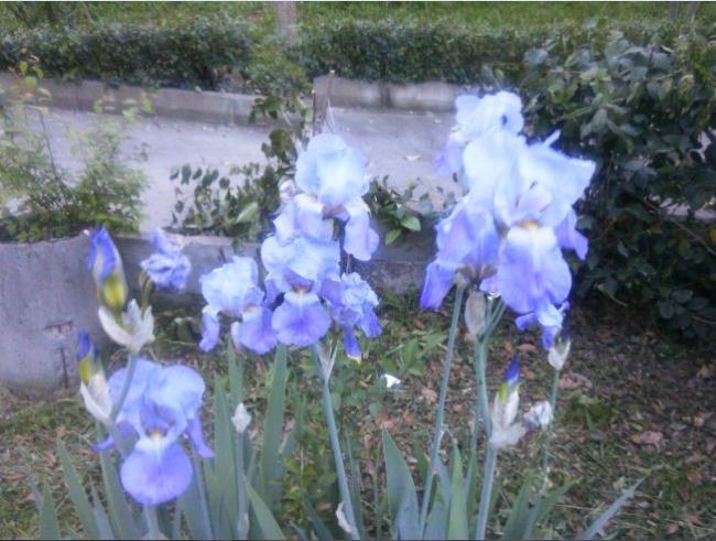 Name:  s3.jpg
Views: 281
Size:  55.8 KB