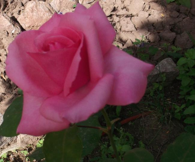 Name:  DSCF9136.jpg
Views: 394
Size:  43.6 KB