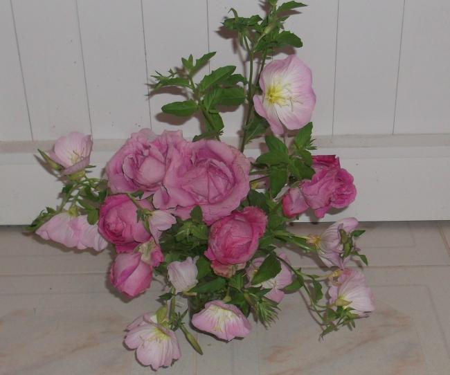 Name:  DSCF9197.jpg
Views: 421
Size:  37.0 KB