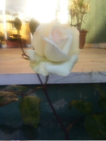 Name:  gl1.JPG
Views: 264
Size:  24.1 KB