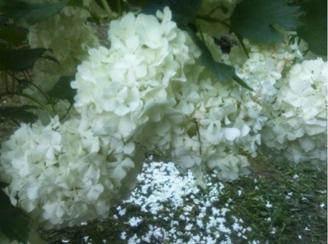 Name:  kr1.jpg
Views: 328
Size:  45.9 KB