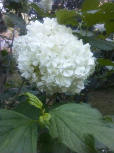 Name:  kr3.JPG
Views: 313
Size:  34.0 KB
