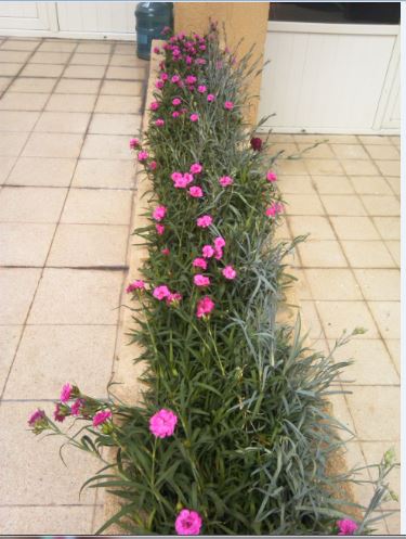 Name:  kn1.JPG
Views: 268
Size:  46.6 KB