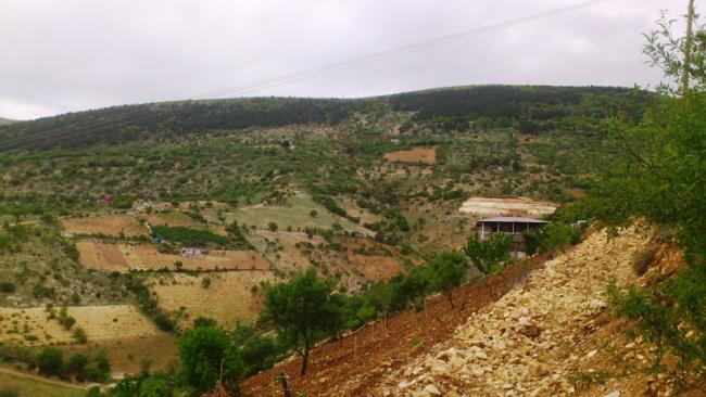 Name:  122.jpg
Views: 389
Size:  44.2 KB