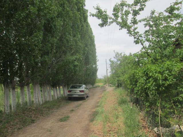 Name:  IMG_5542.jpg
Views: 203
Size:  56.9 KB