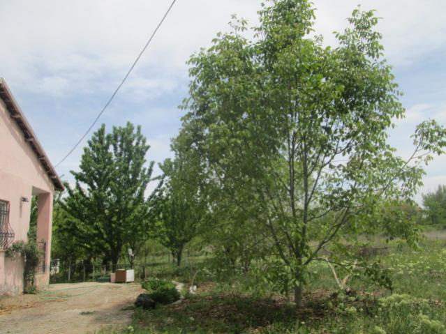 Name:  IMG_5543.jpg
Views: 218
Size:  55.4 KB