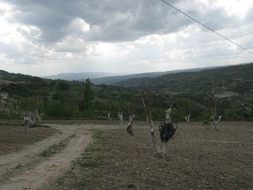 Name:  3.jpg
Views: 564
Size:  45.1 KB