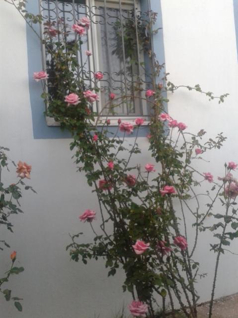 Name:  20160419_191540.jpg
Views: 446
Size:  42.9 KB