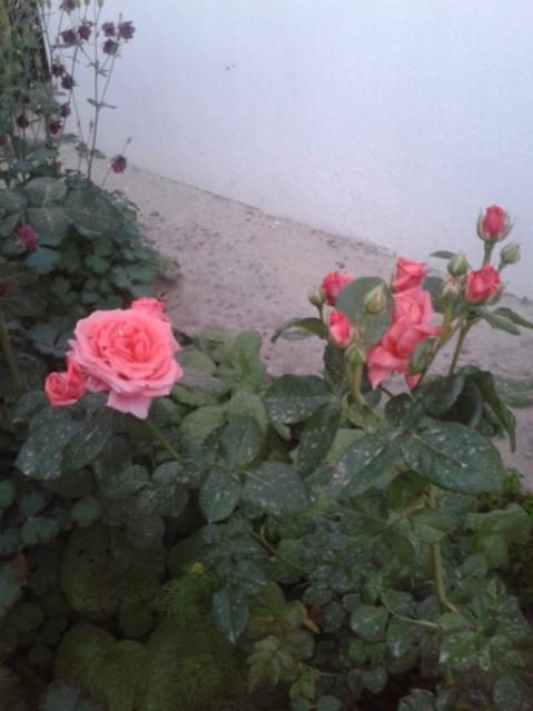 Name:  20160427_200217.jpg
Views: 415
Size:  34.9 KB
