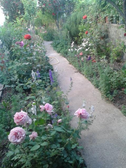 Name:  20160428_191051.jpg
Views: 443
Size:  63.1 KB