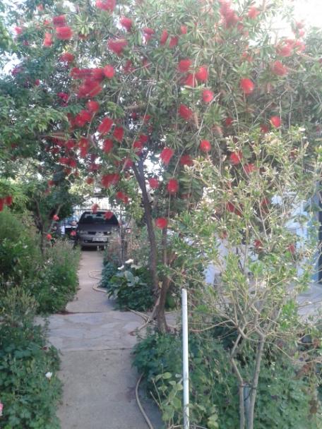 Name:  20160428_190812.jpg
Views: 408
Size:  65.6 KB