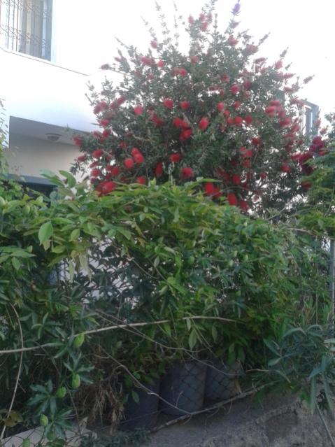 Name:  20160419_192424.jpg
Views: 420
Size:  55.2 KB