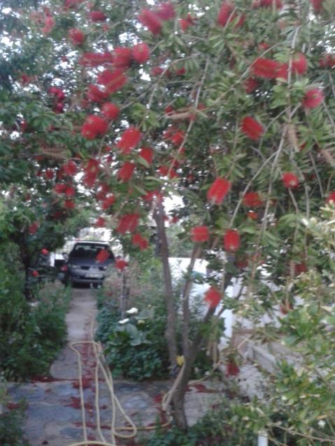 Name:  20160427_200114.jpg
Views: 424
Size:  59.4 KB