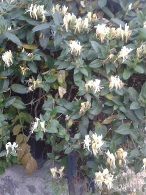 Name:  20160428_195825.jpg
Views: 428
Size:  53.4 KB