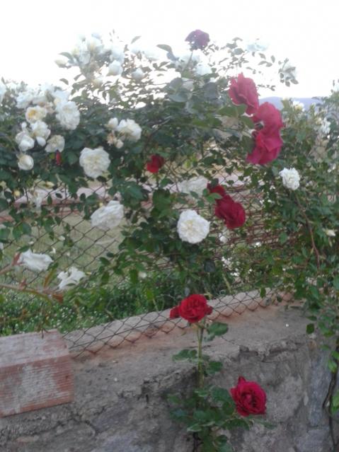 Name:  20160427_194434.jpg
Views: 421
Size:  51.2 KB