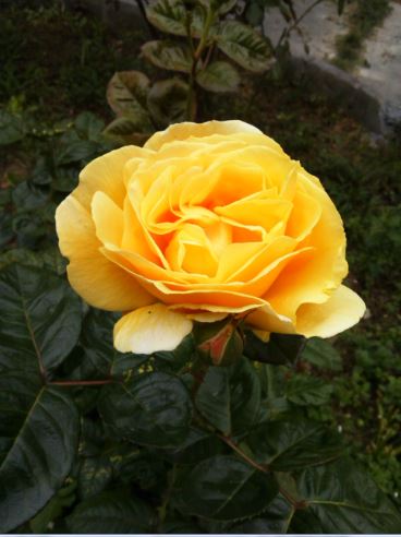 Name:  eg.JPG
Views: 248
Size:  36.2 KB